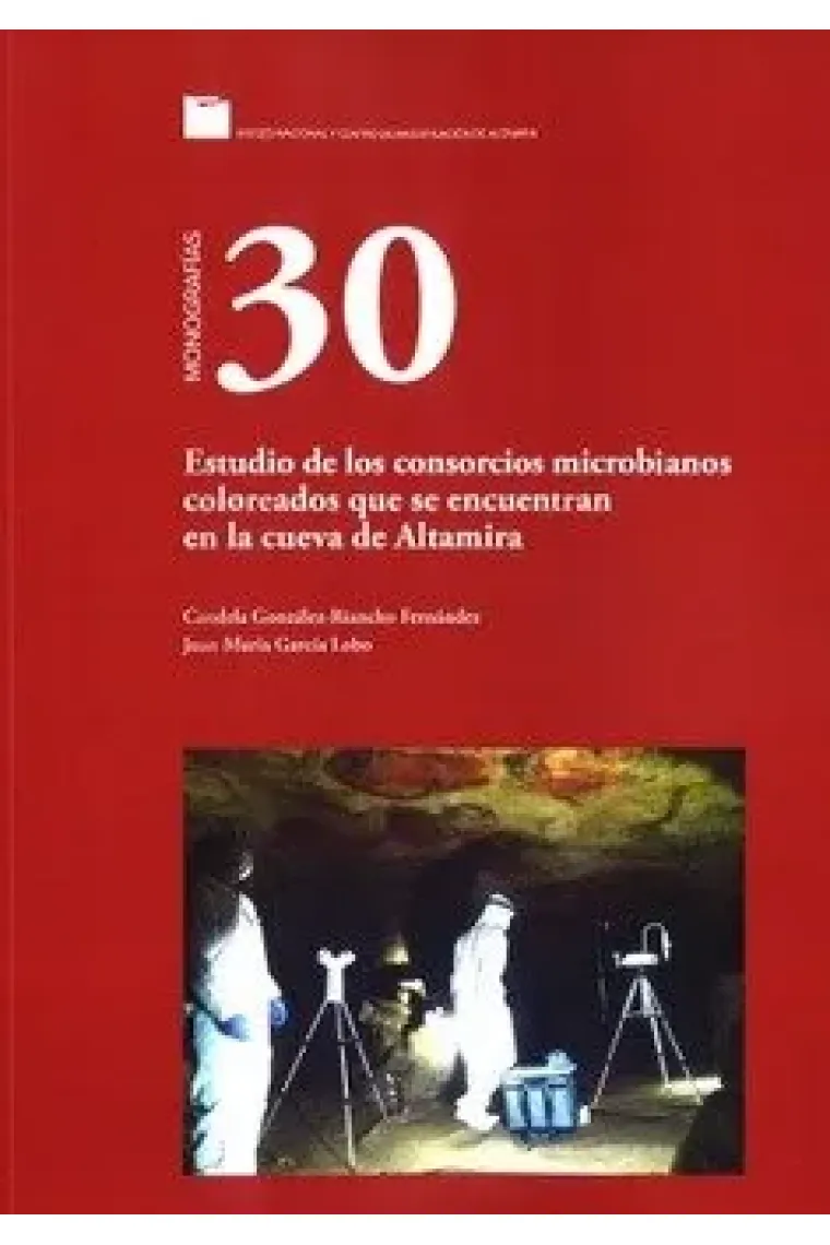 bookish-2215810