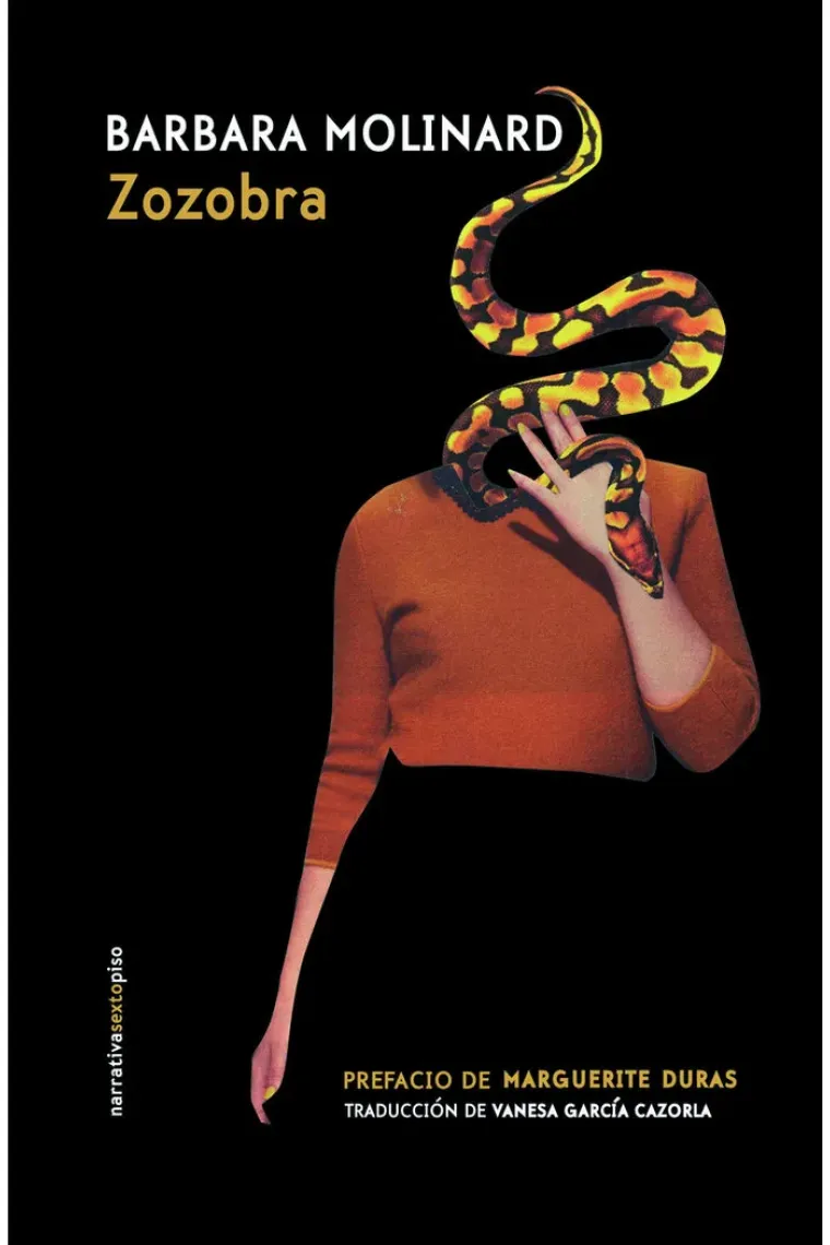 bookish-7880050
