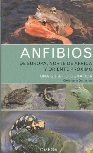libreriasinopsis1084625