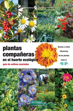 libreriasinopsis1113347