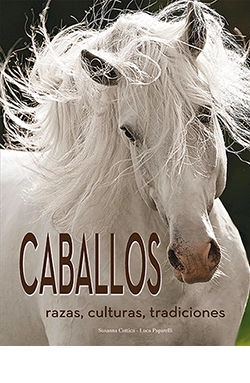 libreriasinopsis1122888