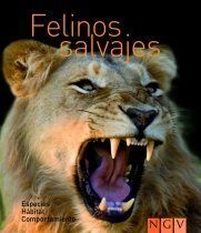 libreriasinopsis1150751