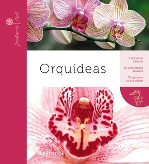 libreriasinopsis1261583