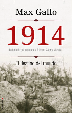 libreriasinopsis1347774