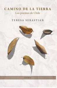 libreriasinopsis1368636