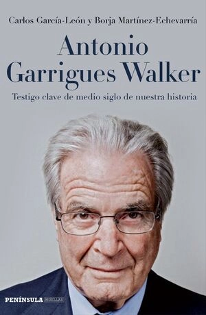 libreriasinopsis1376403