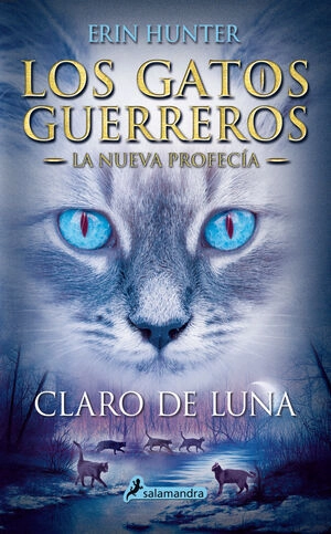 libreriasinopsis1411418