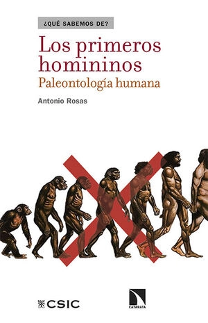 libreriasinopsis1515558