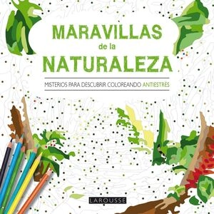 libreriasinopsis1537614