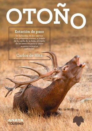 libreriasinopsis2074974