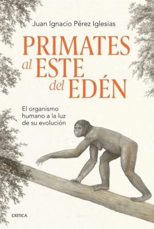 libreriasinopsis2121078