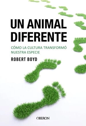 libreriasinopsis374911