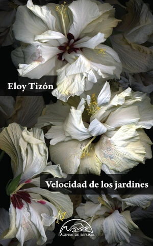 libreriasinopsis47545